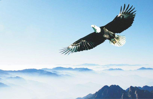 人才招聘 人才招聘